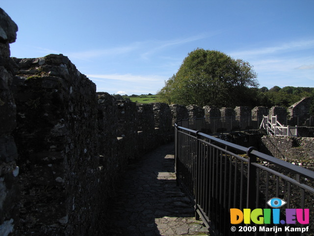 SX09301 Crenellations on Restomel Castle